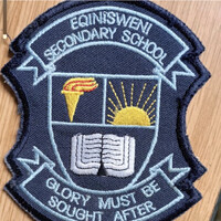 Eqinisweni Secondary School logo - Similar company to Wiggle Digital