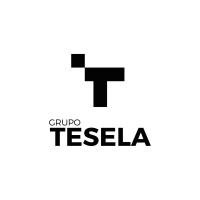 Grupo Tesela logo - Similar company to Oyrsa