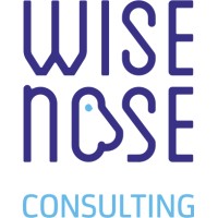 Wisenose Consulting logo - Similar company to Happinova