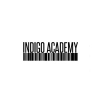 Indigo Academy srl logo - Similar company to Mcp