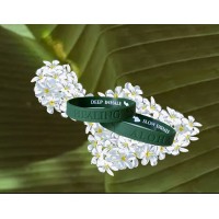 Healing Aloha - Breath Awareness Campaign logo - Similar company to Framework Synergy Solutions Llc