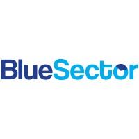 Blue Sector Group logo - Similar company to Concamin Us