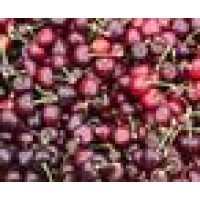 Sage Fruit Company
