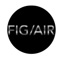 Fig Air Inc. logo - Similar company to El Aero Services Llc