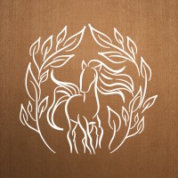 Beach & Country Guarajuba logo - Similar company to Metaplan Empreendimentos Imobiliários