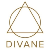 DIVANE Consulting logo - Similar company to Atom.Art