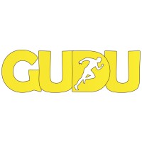 Gudu Studios logo - Similar company to Origgin