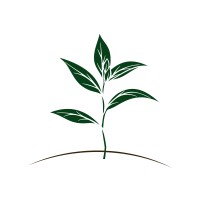 Restoration Era logo - Similar company to Accelerated Restoration Collaborative