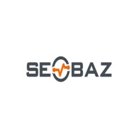 Seobaz logo - Similar company to Minor Visuals