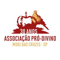 Associação Pró-Festa do Divino Espírito Santo de Mogi das Cruzes logo - Similar company to Instituto Do Torax De Mogi Das Cruzes