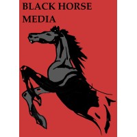 Black Horse Media Limited logo - Similar company to Fresh Media