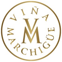 Viñedos Marchigue logo - Similar company to Praxis+ Chile