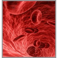 VascVersa Ltd logo - Similar company to Scottish National Blood Transfusion Service