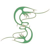 Avalon Latitude Premium Seafood (ALPS) logo - Similar company to Balang Fishery.Songo Ocean Technology Co., Ltd