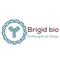 Brigid Bio logo - Similar company to Windstorm Renewables Ltd