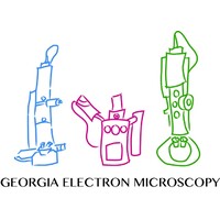 Georgia Electron Microscopy logo - Similar company to Nexperion - Solutions For Electron Microscopy