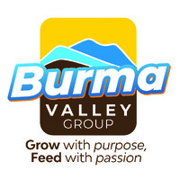 Burma Valley Group logo - Similar company to Anugraha Solutions