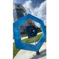 The Beacom College of Computer and Cyber Sciences (BCCCS) at Dakota State University (DSU) logo - Similar company to Pagame Project