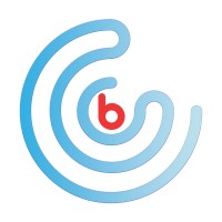 B Conseil logo - Similar company to Eco Steering