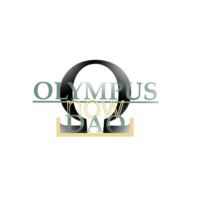 Olympusdaonow logo - Similar company to Olympus Dao