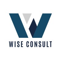 Wise Consult logo - Similar company to Triangle Partners S.A./N.V.