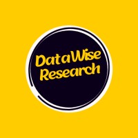 DataWise Research logo - Similar company to Datainsight Analytics