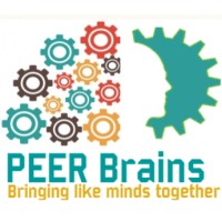 PeerBrains Technologies logo - Similar company to B Technologies