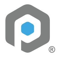 Platinum Fleet logo - Similar company to Amafa - Asociación Mexicana De Administradores De Flotilla De Automóviles A.C.