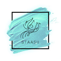 Staasii Inc logo - Similar company to Vaeo Marketing