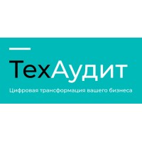 TechAudit logo - Similar company to Tech And Accounting