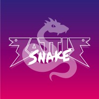 Battlesnake logo - Similar company to 48Hourapps