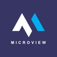 Microview Nigeria Ltd. logo - Similar company to Microview Security