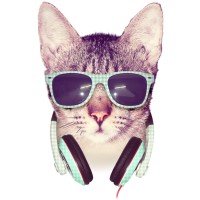 TEACH ME DJING logo - Similar company to Djing.Ca