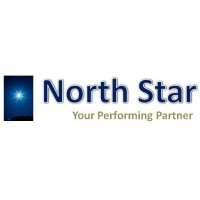 North Star logo - Similar company to Baheti Electricals