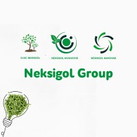 Neksigol Group logo - Similar company to Tajsoft Group - It Solutions