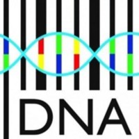 Biocode Biotechnology logo - Similar company to Dimensions Centre For Child Development