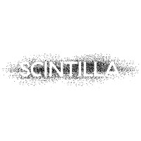 SCINTILLA logo - Similar company to Playtogether Studio