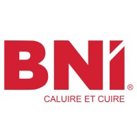 BNI Caluire et Cuire logo - Similar company to Storema