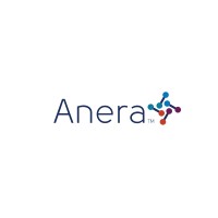 The Anera Group Inc.