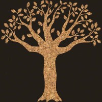 CORK STORE BRAGA logo - Similar company to Bio Braga