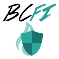 BCFI logo - Similar company to Hdsn