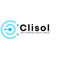 Clisol Digital Services Private Limited logo - Similar company to Hivead Pte.Ltd.