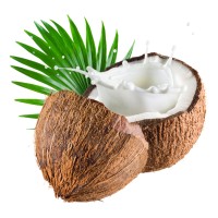 Coconutech logo - Similar company to Mh Dev Solutions