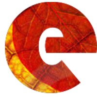 eStomi Technologies logo - Similar company to Estomi Technologies