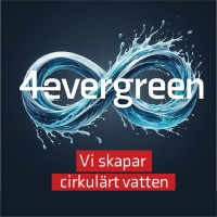 4evergreen / Evergreen Solutions logo - Similar company to Learn How To Source