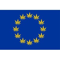 European Cannabis Nurses Association logo - Similar company to Deutscher Hanfverband