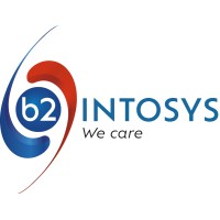 b2Intosys logo - Similar company to Cloudstorage.Mu