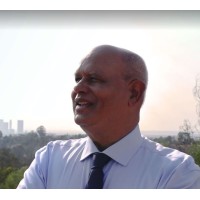 PAL Tax and Immigration Services logo - Similar company to Globex Immigration Services