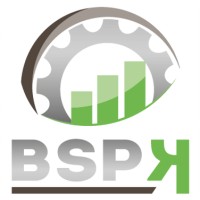 BSPK - Change & Interim Management logo - Similar company to Aura Casta