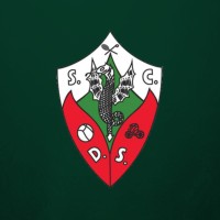 Sport Clube Dragões Sandinenses logo - Similar company to Fc Maia Lidador